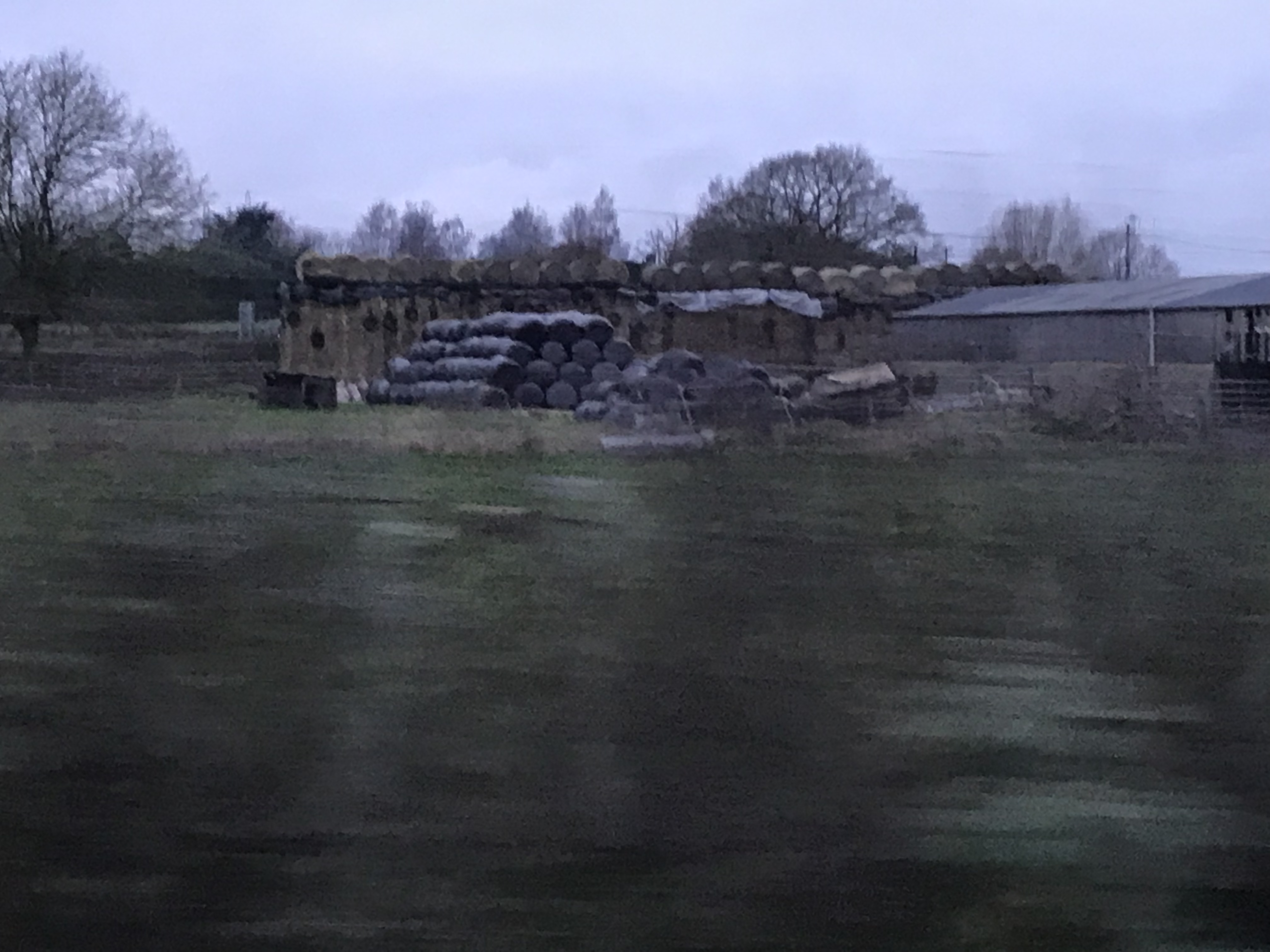 ./2018/15 - London/04 - Day 4/IMG_9412.jpg